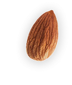 Almond