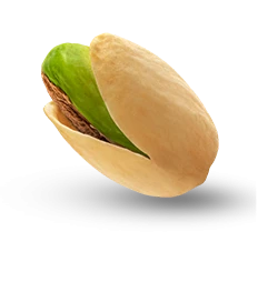 Pista